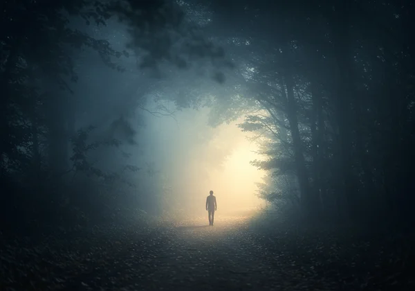 Person emerging from fog, seeking clarity on bipolar path